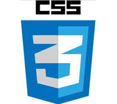 Css logo